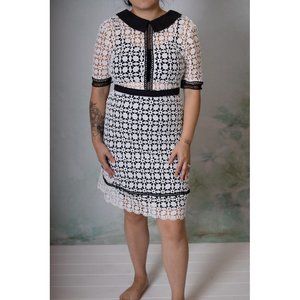 Laced collared dress